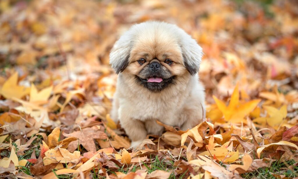 デリケートゾーンの黒ずみを解消するためのブログの書き方は？