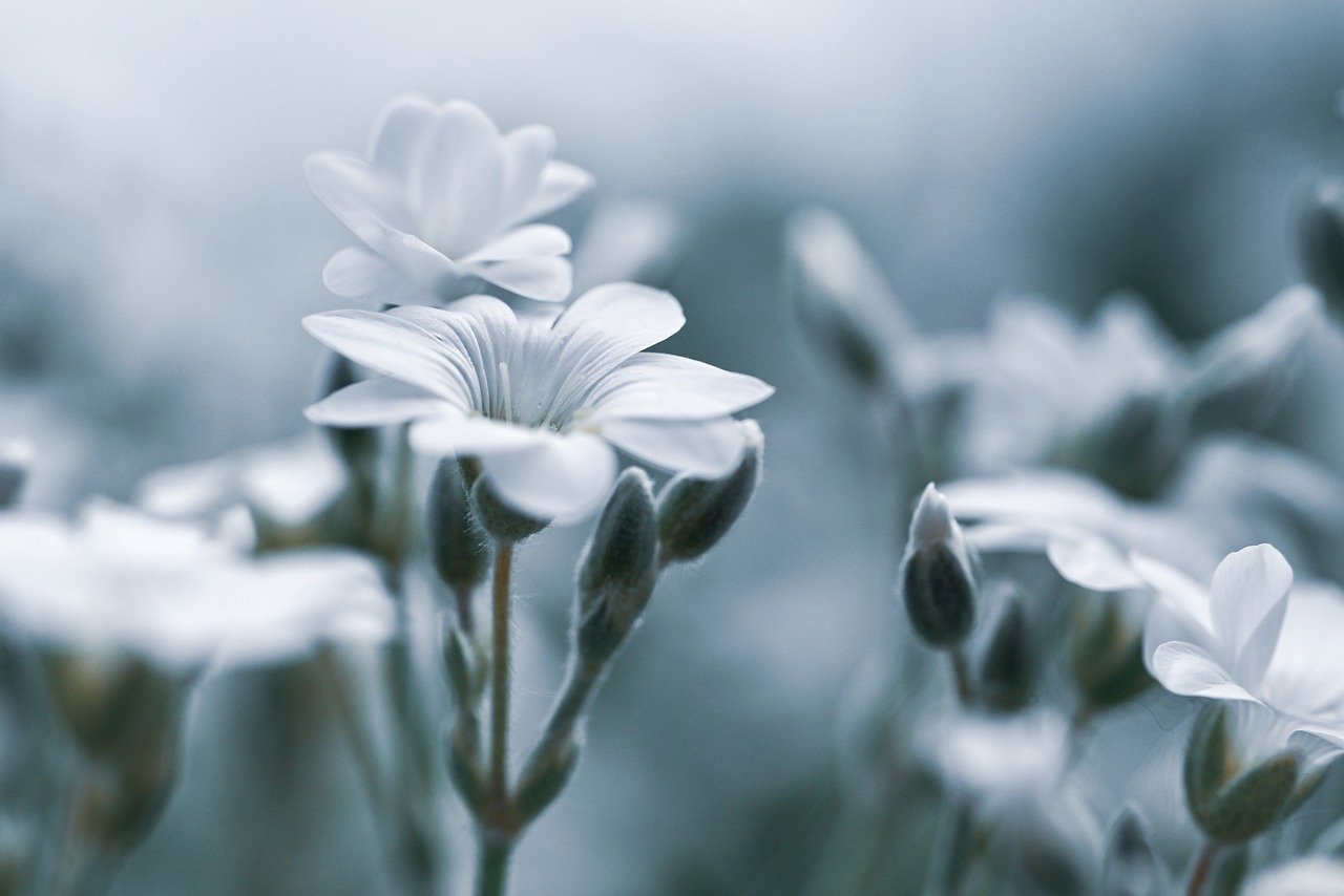 デリケートゾーンの黒ずみを解消するVIOケアはどうすればいい？