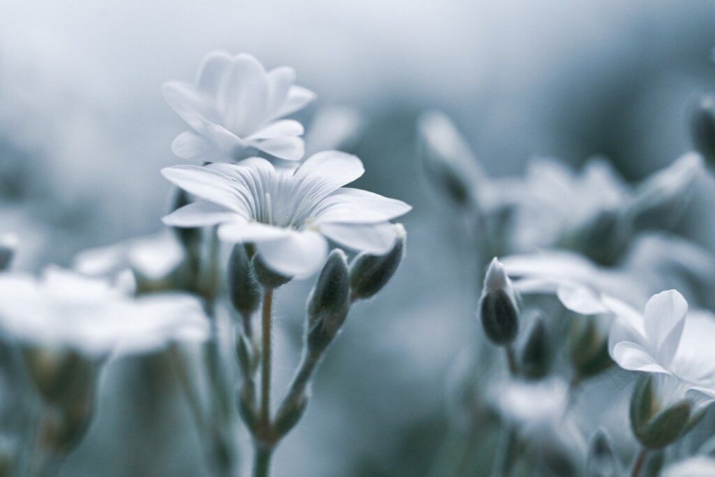 デリケートゾーンの黒ずみとただれを併発する原因とは？