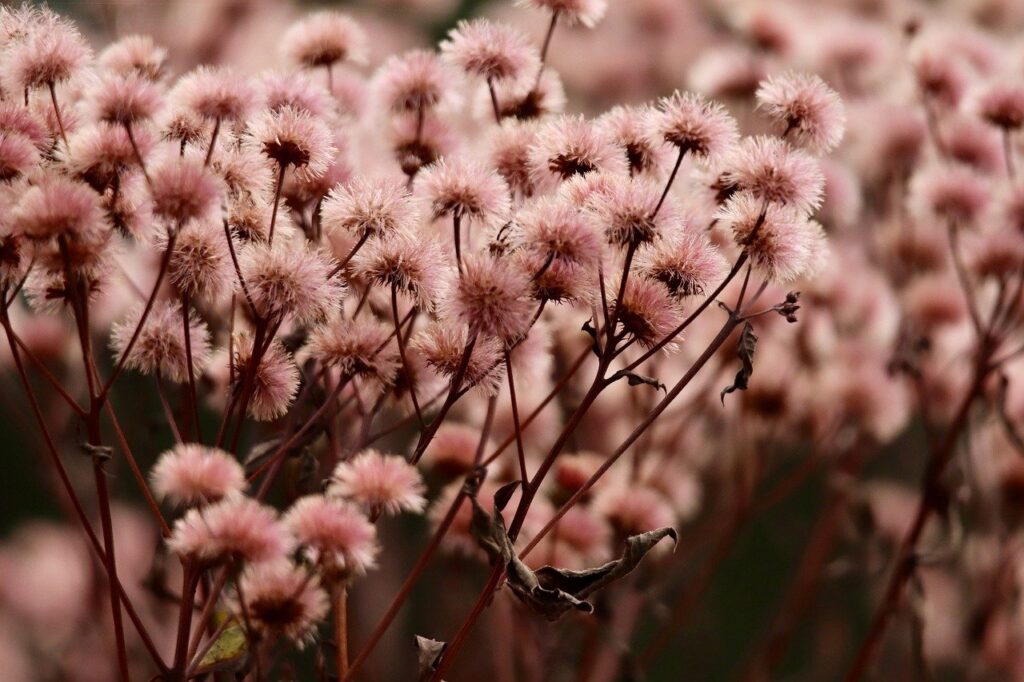 デリケートゾーンの黒ずみ洗浄しすぎに注意すべき理由は？