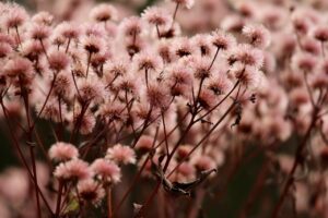 デリケートゾーンの黒ずみは生理後の乾燥が原因なのか？